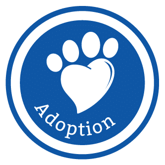 Adoption Icon