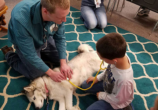 Vet and child check dogs heart rate.