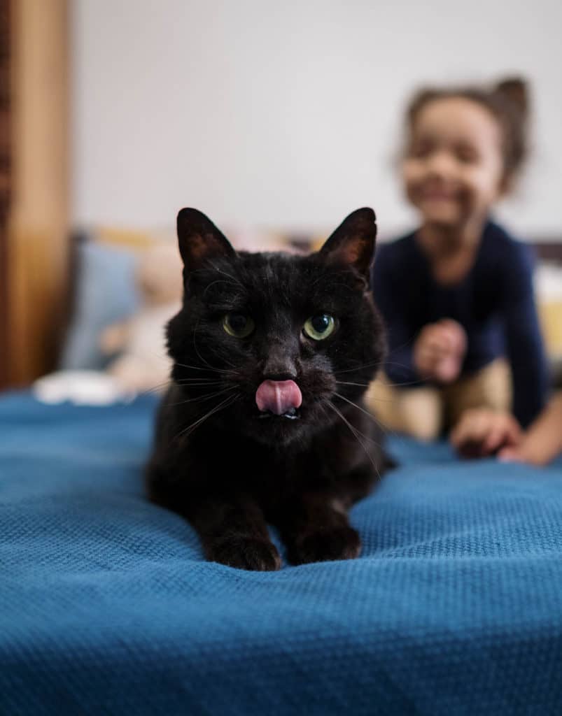 Black cat sticks out tongue while little girl behind smiles.